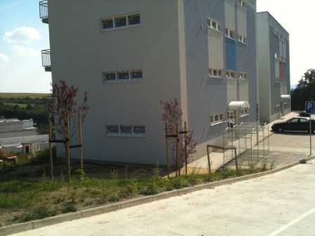 2010-01-0125