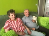 Pancurák